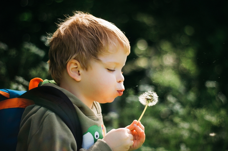 When it's not possible to bring preschoolers outdoors, bring objects from nature inside.